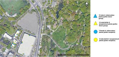 Long-Distance Pollen Dispersal in Urban Green Roof and Ground-Level Habitats